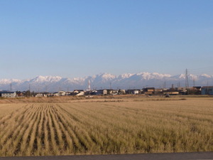 RIMG6739