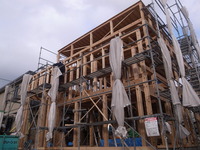 RIMG6554