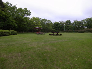 RIMG6504