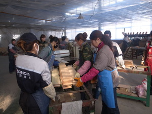 RIMG8051
