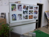 展示2