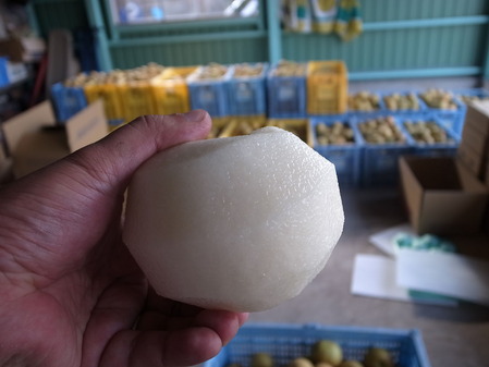 R0020177