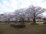 R0011028