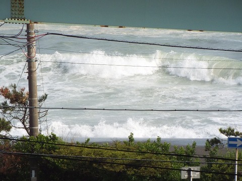 s-Kamogawa20180415 011