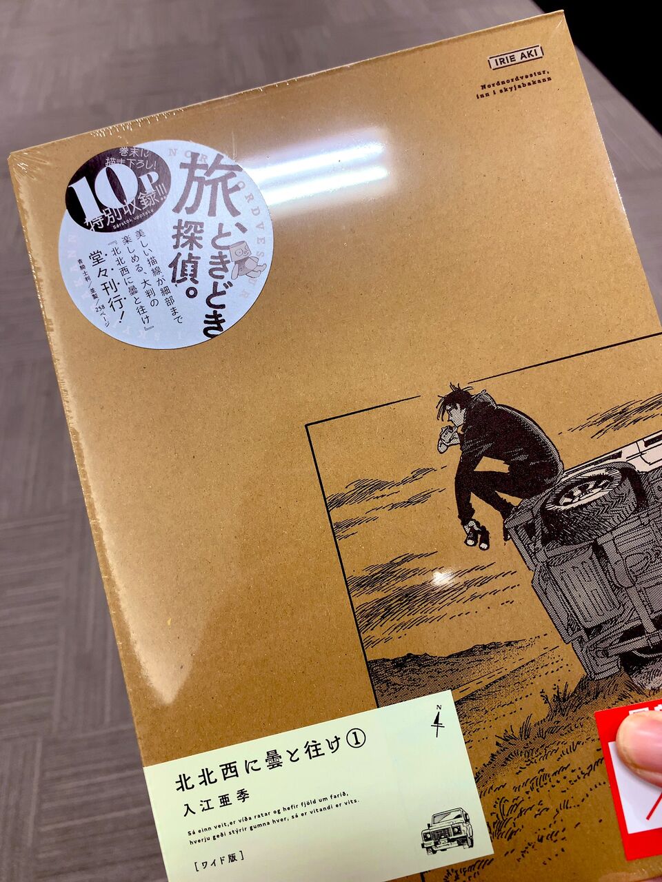 入江亜季先生の 北北西に曇と往け ワイド版 1巻 ネットの感想 漫画発売日カレンダー