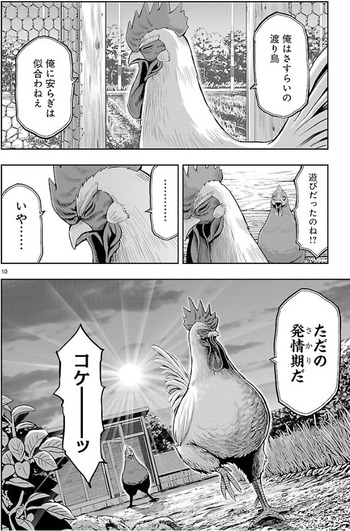 ニワトリ・ファイター