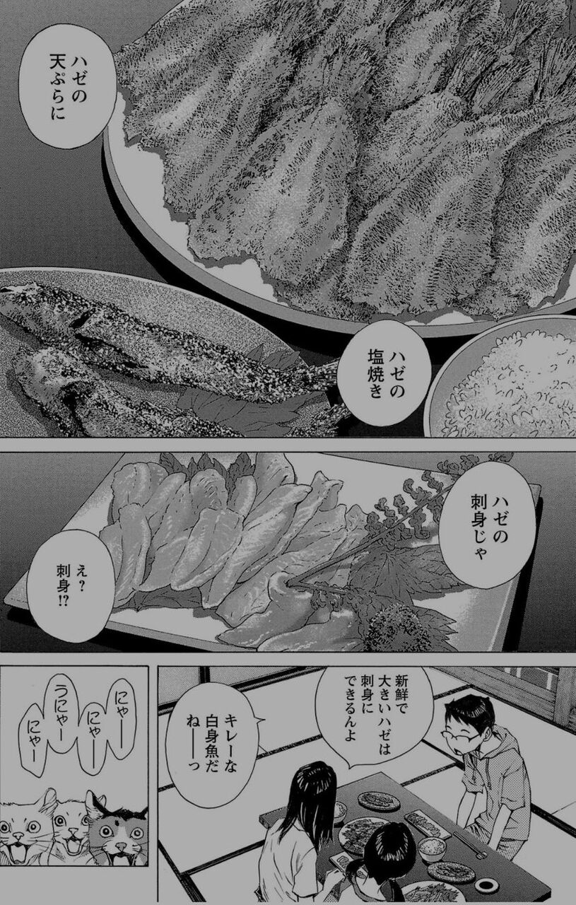 青の島とねこ一匹 6巻 ネットの感想まとめ 漫画発売日カレンダー