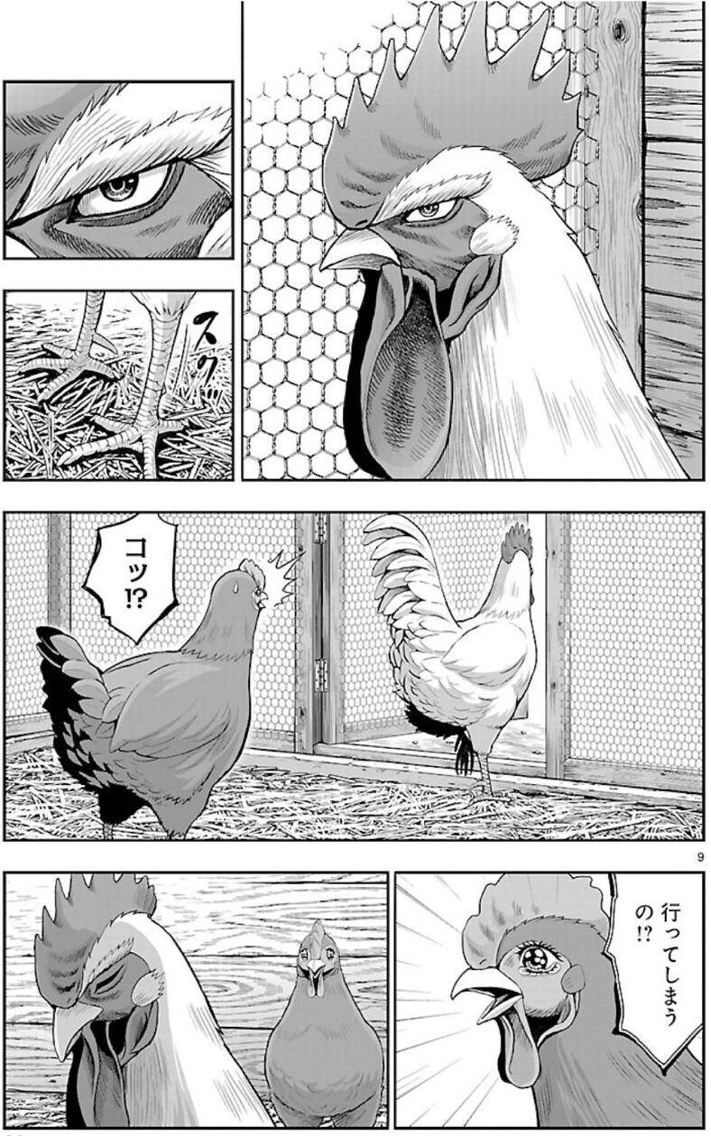 ニワトリ ファイター 3巻 ネットの感想まとめ 漫画発売日カレンダー