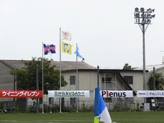 stella_8home_flag