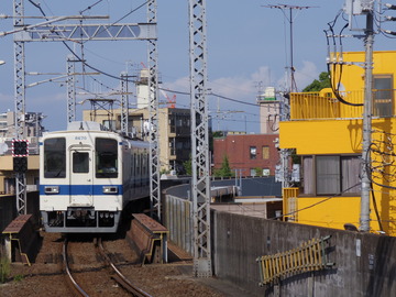 IMGP8959