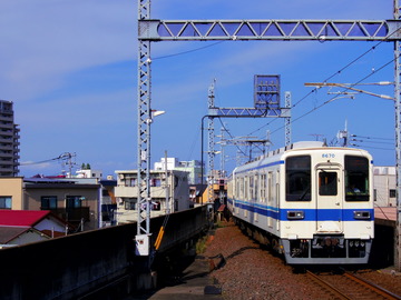 IMGP8969