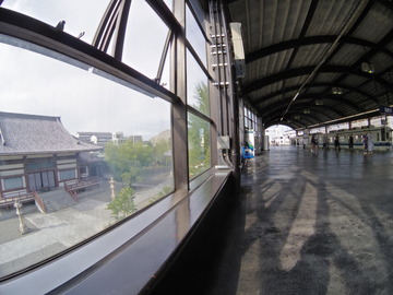 IMGP9004