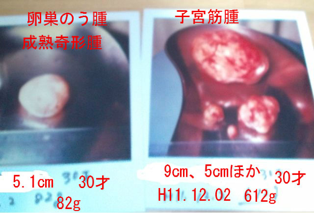 整理してたら出てきた画像 記録 整理してたら出てきた画像 記録