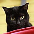 IMG_0645yuka_vis