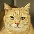 IMG_2274elly_vis