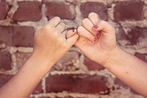 pinky-swear-329329__340