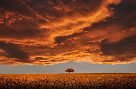 amazing-736875__340