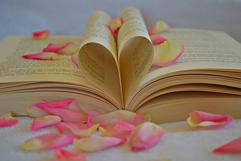 book-1169437__340