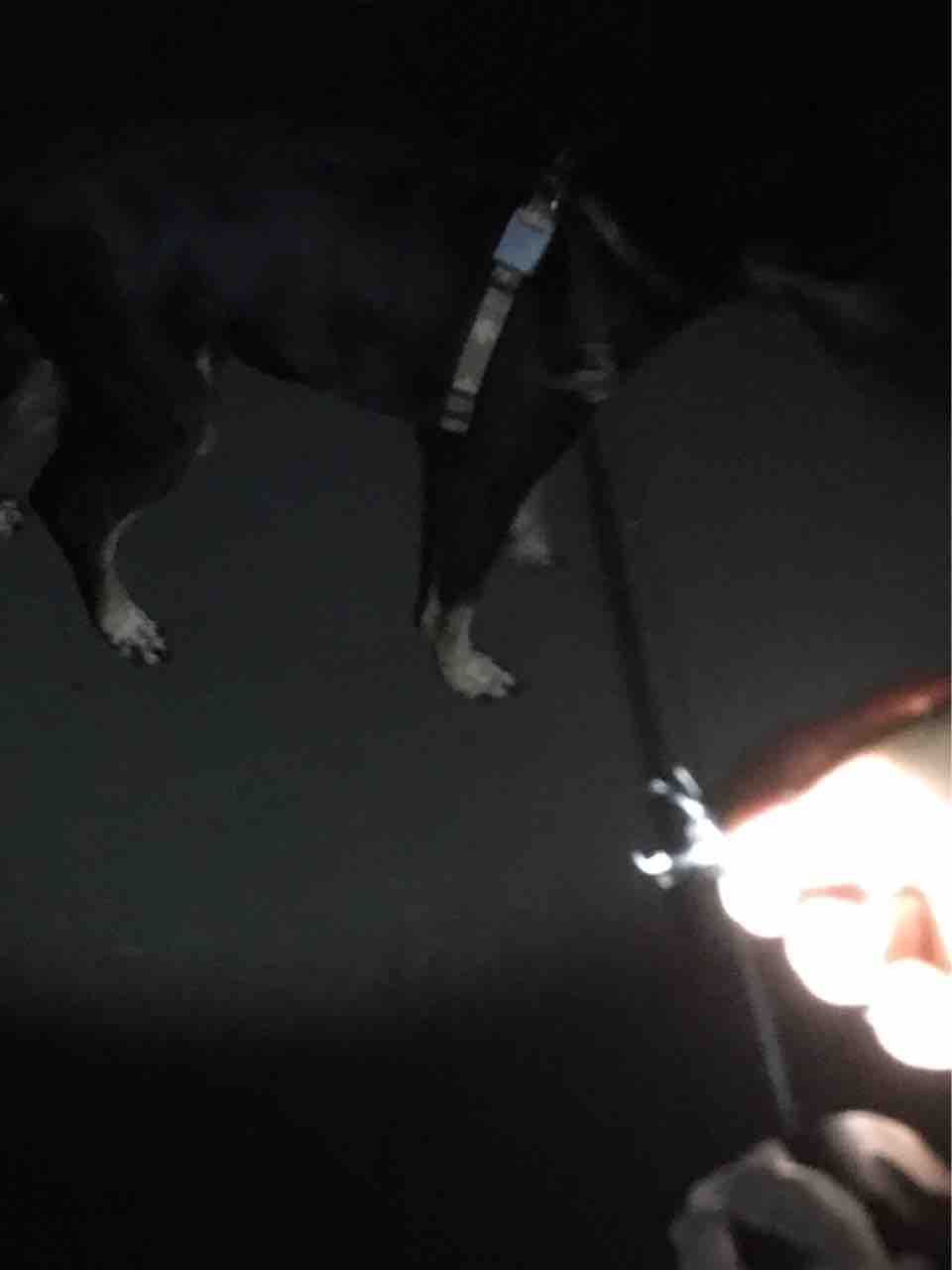 おっぱじめようかー 新 探検だ S ๑