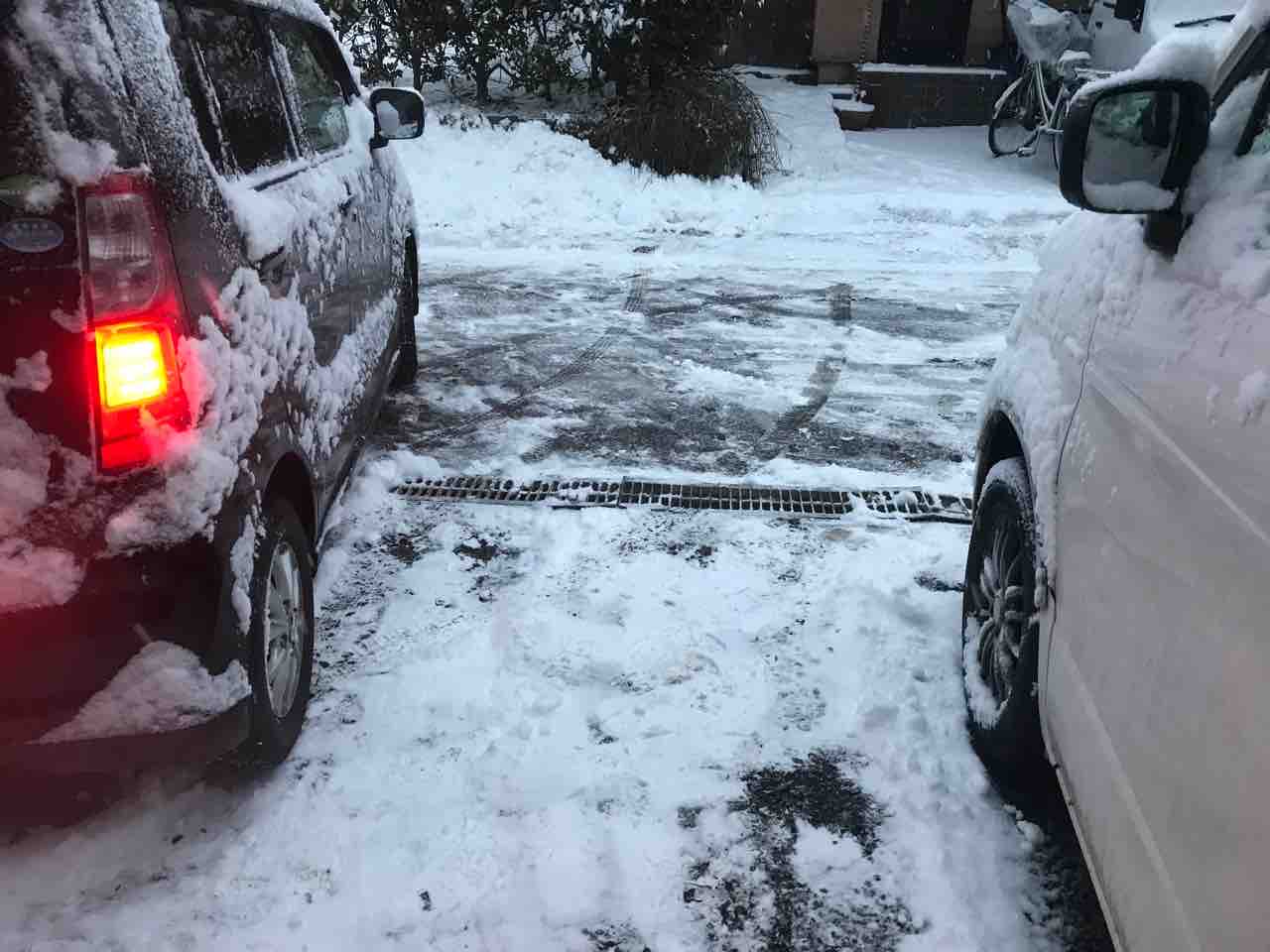 書きかけだった週末日常の出来事ただそれだけ 新 探検だ S ๑