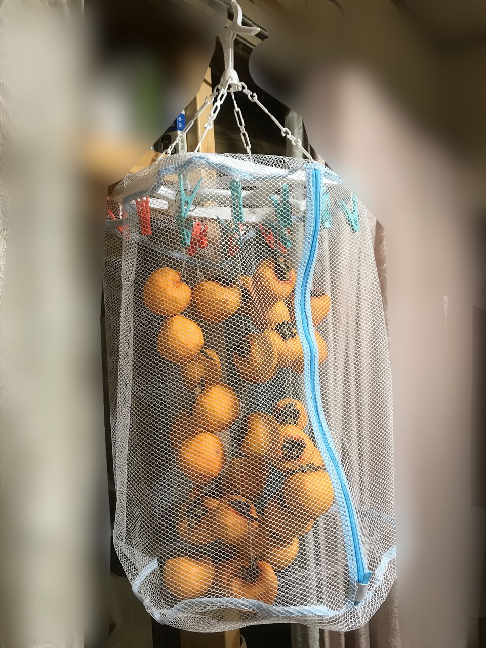 干し柿ネット 新 探検だ S ๑