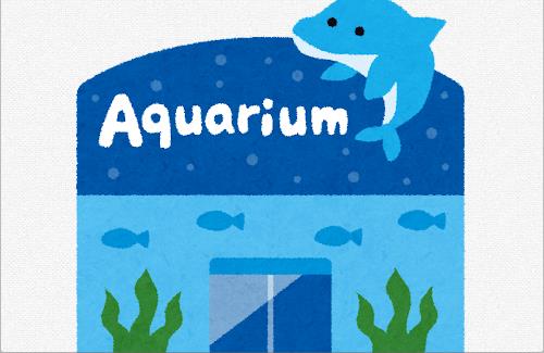 沼津・あわしまマリンパーク、新社長『7月には水族館を再開したい』