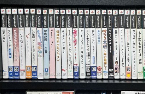 【画像】21歳「周りにギャルゲを語り合える仲間がいない…」