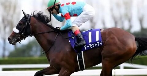 【競馬】アーモンドアイが顕彰馬に選出！コントレイルは惜しくも落選
