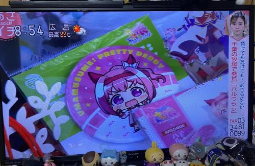 NHK「あさイチ」でハルウララ特集！ウマ娘も一緒に紹介される