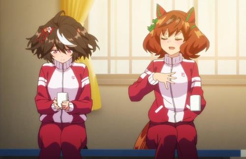 【ウマ娘3期】なんでテイオーではなくネイチャが相談役なんだろ…