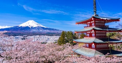 国内旅行の消費額がほぼコロナ前に戻る、旅行者数も81％回復