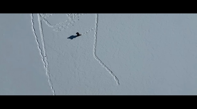 2022y04m28d_061524309