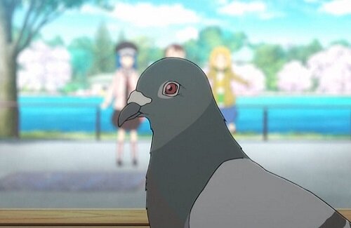 【優しい】女性声優さん、白い鳩を見て心配する・・・