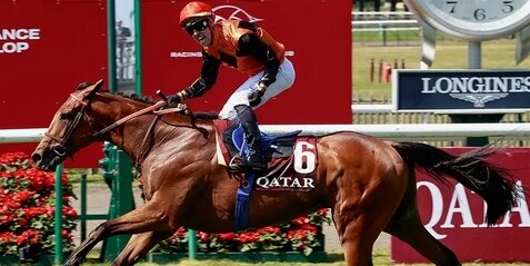 【競馬】凱旋門賞馬『エースインパクト(牡3)』が現役引退！来季から種牡馬に