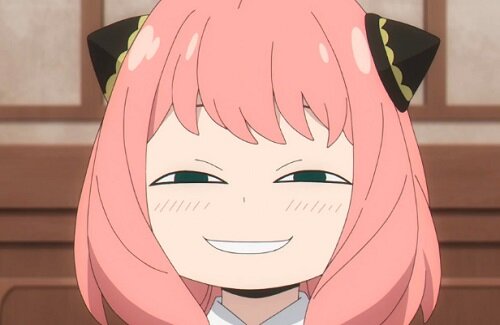 『SPY×FAMILY』と『マイナンバーカード』のコラボの顔写真撮影の注意点が面白すぎるｗｗｗｗ