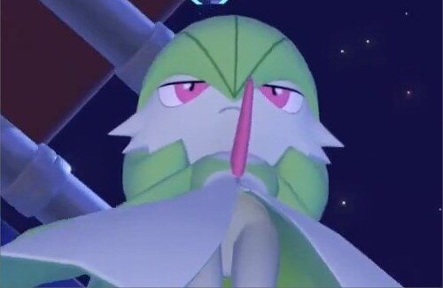 「ぽこ あ ポケモン」のシコれるシーンｗｗｗｗｗｗｗｗｗｗ