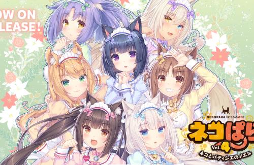 ツイ民さん『ネコぱら5いつ出るねん。死ぬまでに完結して欲しい』→さよりさん『来年出ます』→ファン歓喜