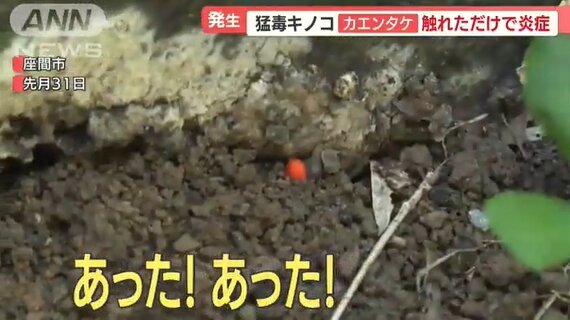2022y08m18d_071518545