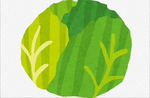 X民さん『キャベツ1玉1000円の時は騒がれたが、安い時に農家を案ずる人間はいない』←7万いいね