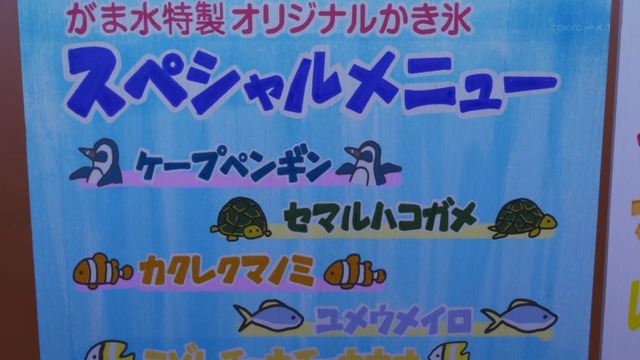 Capture20210813-002134