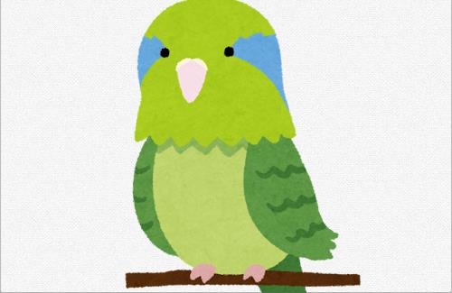 【画像】鳥を飼った結果・・・