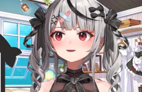 【ホロライブ】「沙花叉から個人DMが来たと拡散されてますがそのような事実はありません。」