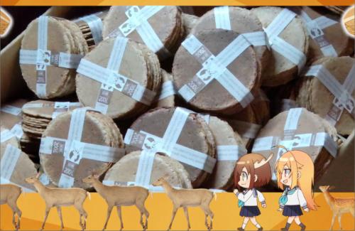 奈良市公式もビッグウェーブに乗るｗｗｗｗｗｗｗｗ　『今話題の「しかのこのこのここしたんたん」を知っていますか？????』