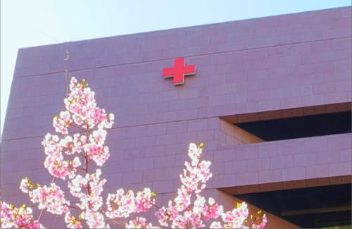 日本赤十字社の最強”新入社員”が話題に…『どう接したらいいの・・・』