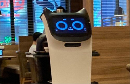 【かわいそう】ネコ型配膳ロボット、時給135円だった…