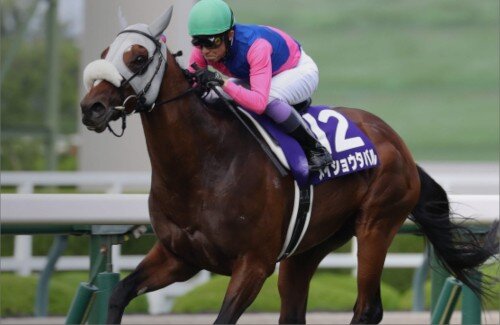 【競馬】武豊騎手（57）、二週連続G1勝利！！　まったく衰えないｗｗｗｗｗｗｗｗｗ