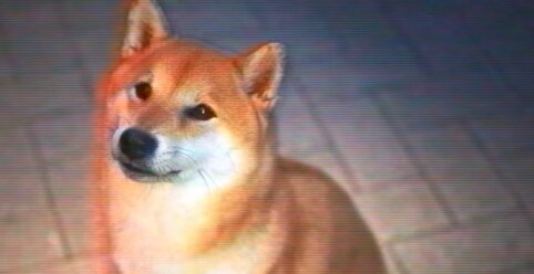 全人類の運命は、一匹の柴犬に託された『HUMANITY』PS4/PS5/Steamで5月16日発売決定！