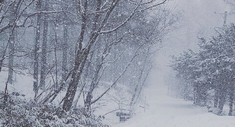 東京都で『大雪警報』！23区降雪量予想が5cm→10cmに