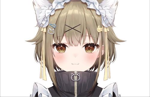 VTuberさん『8月末に卒業予定でしたが、撤回致しました』