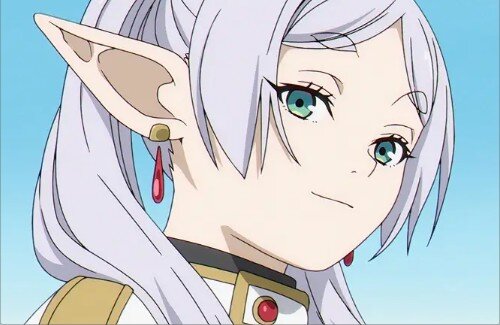 X民さん『フリーレンって1000年以上◯◯なんかな。』